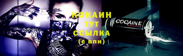 шишки Майский