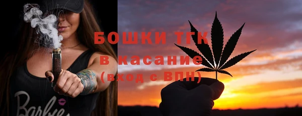 шишки Майский