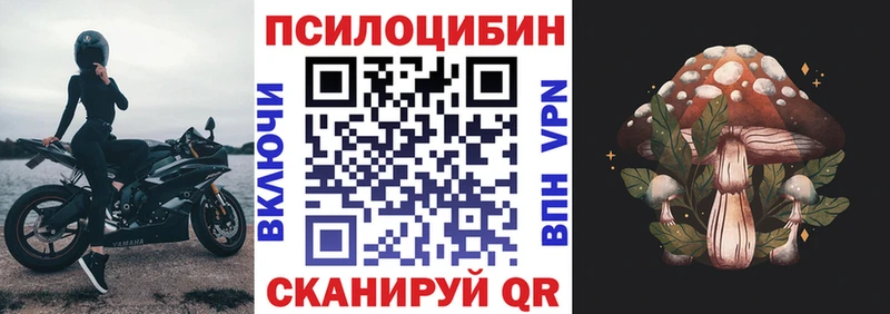 МЕГА ссылка  Катав-Ивановск  Псилоцибиновые грибы GOLDEN TEACHER 